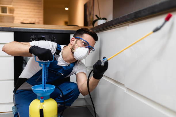 Best Cockroach Control Services  in Bel Ridge, MO