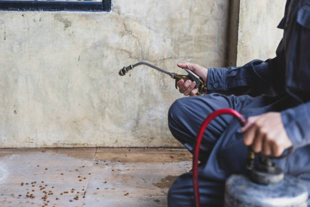 Best Pest Removal Services  in Bel Ridge, MO